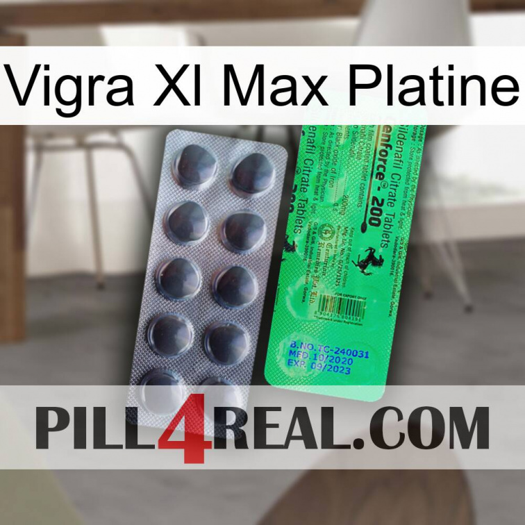 Vigra Xl Max Platinum new04